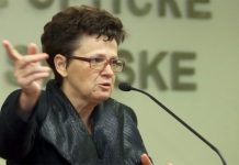 ДЕМОС ће подржати нови закон о инспекцијама Српске
