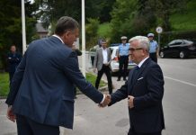 НЕДЕЉКО ЧУБРИЛОВИЋ: ВИДЉИВ РАЗВОЈ ПАЛА