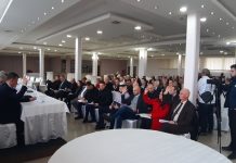 СЈЕДНИЦА ГЛАВНОГ ОДБОРА ДЕМОС-а: У МАРТУ УНУТАРСТРАНАЧKИ ИЗБОРИ