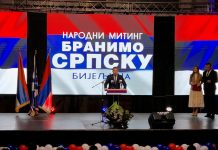 Милан Дакић: Грађани Српске морају истрајати у започетој борби